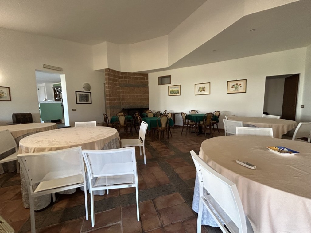 IMG_3939 (FILEminimizer).jpeg